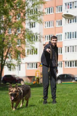 Bir köpek genç bir adamla oynar, bir Alman çoban köpeği güneşli bir günde poz verir, bir köpek yeşil çimlerde oynar