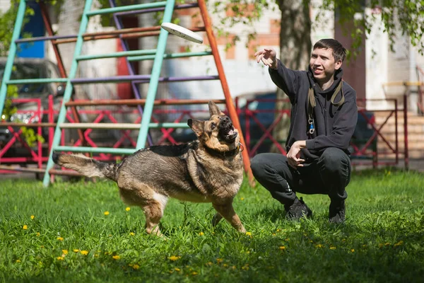 Bir Köpek Genç Bir Adamla Oynar Bir Alman Çoban Köpeği — Stok fotoğraf