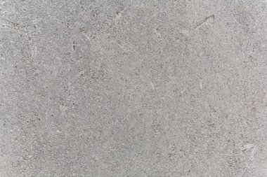 kabuk, fosiller, beton, desen, arkaplan, soyut, doku, duvar, kaba tasarım, malzeme, yüzey, gri, sarı