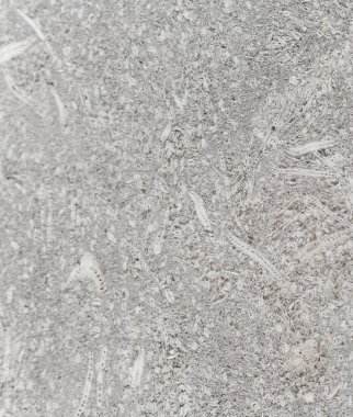 Bitiş taşı, kabuklu kabuk, tortul kaya