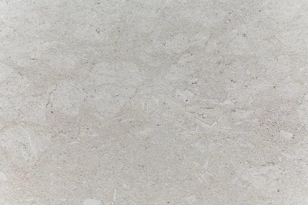Κέλυφος Απολιθώματα Σκυρόδεμα Μοτίβο Φόντο Αφηρημένη Υφή Τοίχος Τραχύ Σχέδιο — Φωτογραφία Αρχείου