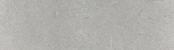 Muschel Fossilien Beton Muster Hintergrund Abstrakt Textur Wand Rau Design — Stockfoto