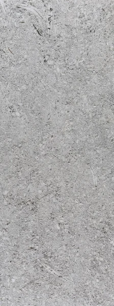 Φινίρισμα Λίθων Οστρακόδερμων Ιζηματογενή Πετρώματα — Φωτογραφία Αρχείου