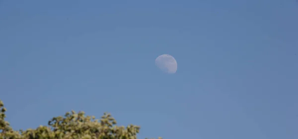 Luna Cielo Azul Luna Naciente Cielo Tarde — Foto de Stock