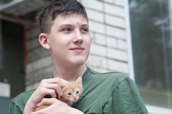 Pojke Och Kattunge Kille Och Kattunge — Stockfoto