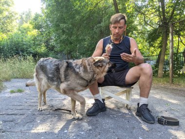 Bir köpeğin tüylerini döken bir adam, bir Alman çoban köpeğinin yününü tarıyor..