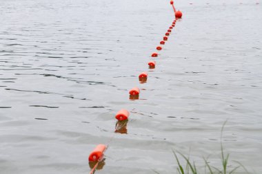 Köpek yüzüyor ve nehre dalıyor, kırmızı çit şamandıraları suda yüzüyor. Alman çoban köpeği suda yüzmekten mutlu..