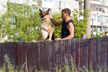Köpek eğitimi. Eğitimde olan bir Alman çoban köpeği. Köpek, uzun şehir evlerinin arka planına doğru eğilir..