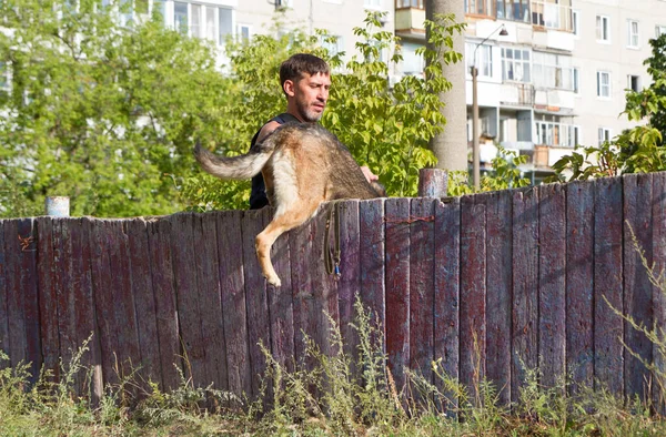 Allenamento Cani Cane Pastore Tedesco Addestramento Cane Allena Sullo Sfondo — Foto Stock