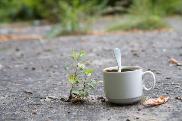 Café Una Taza Blanca Calle Otoño Una Taza Blanca Con —  Fotos de Stock