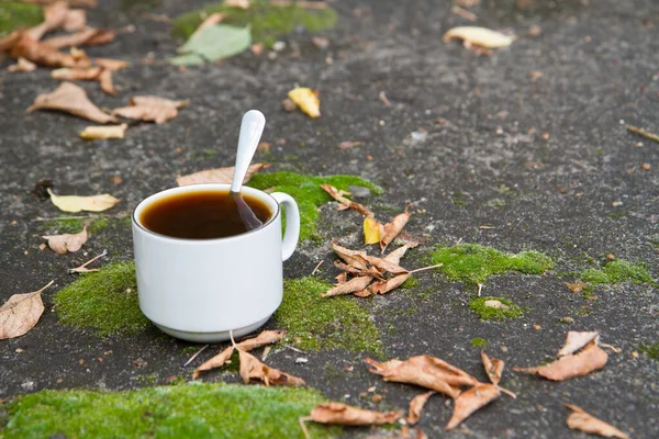 Café Una Taza Blanca Calle Otoño Una Taza Blanca Con —  Fotos de Stock