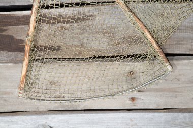 Sebzeler masanın üstünde. Eski çam ağacından yapılmış eski bir masanın üzerinde taze çiğ sebzeler yatıyor..