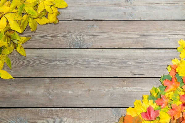 Fallen leaves on a wooden table. Yellow and red leaves on old table boards. Autumn leaves fallen on the table.