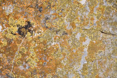 Kaliteli taş, kaya dokuları ve arka planlar. Siyah, gri, mavi ve sarı renkler. Paslı dokular.