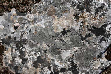 Kaliteli taş, kaya dokuları ve arka planlar. Siyah, gri, mavi ve sarı renkler. Paslı dokular.