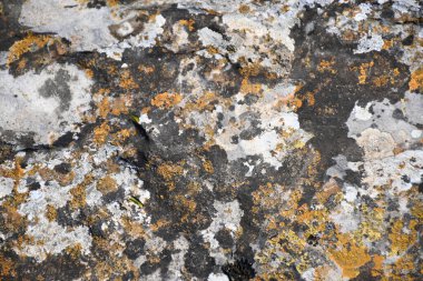 Kaliteli taş, kaya dokuları ve arka planlar. Siyah, gri, mavi ve sarı renkler. Paslı dokular.