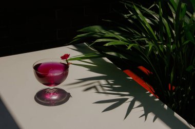 Cin ve tonik karışımı bir çiçekle karıştırılmış. Tropikal kompoziti