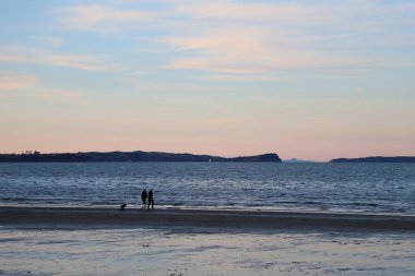 Yeni Zelanda 'daki Auckland' ın Long Bay 'inde gün batımı
