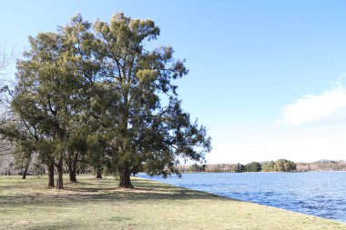 Avustralya Canbbera 'da Burley Griffin Gölü