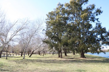 Avustralya Canbbera 'da Burley Griffin Gölü