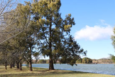 Avustralya Canbbera 'da Burley Griffin Gölü