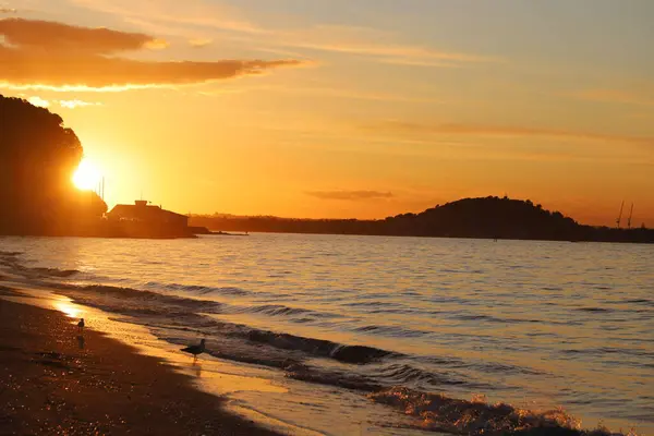 Sonnenuntergang Der Missionsbucht Von Auckland Neuseeland — Stockfoto