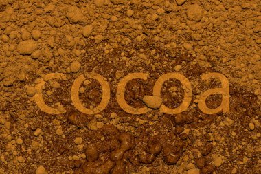 Üstünde kakao olan kakao tozu. Üstünde kakao var.