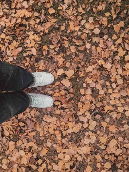 Voeten Hardloopschoenen Herfstbladeren Bovenaanzicht — Stockfoto