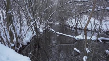 Bir dereye kar yağan kış manzarası gösterisi. Hoş ve rahatlatıcı nehir akışı. Nehrin kıyısında kar var. Dondurulmamış bir nehir. Nehrin her iki kıyısında da küçük ağaçlar var. Çok.