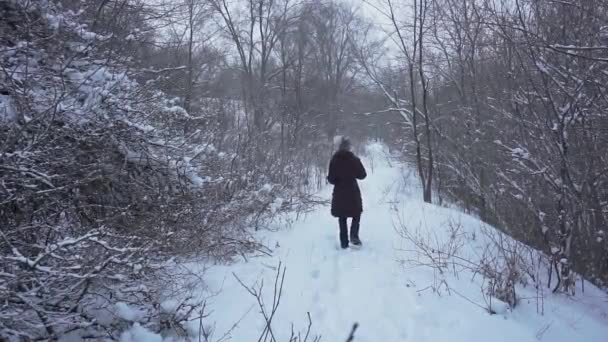 Una joven camina lentamente por un sendero cubierto de nieve profunda al aire libre. Ella está usando una chaqueta de invierno marrón oscuro y un sombrero gris mezcla de lana con bubo. — Vídeos de Stock