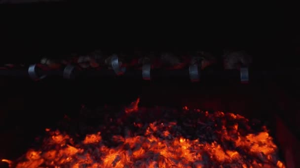 A carne em espetos frita-se sobre brasas ardentes — Vídeo de Stock