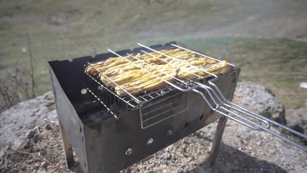 Fleisch am Spieß wird auf einem Grill gebraten. Ein Picknick am Fluss im Frühling — Stockvideo