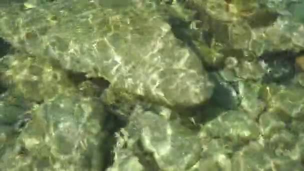 Nagranie. Gra świateł słonecznych i cieni na kamieniach na dnie morza — Wideo stockowe