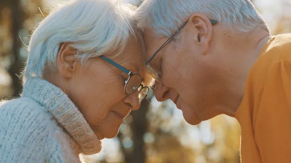 Miłość i uczucie na starość. Emeryci cieszą się jesiennym dniem w lesie — Zdjęcie stockowe