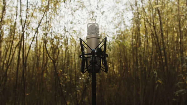 Chiudete. Microfono nella natura. — Foto Stock