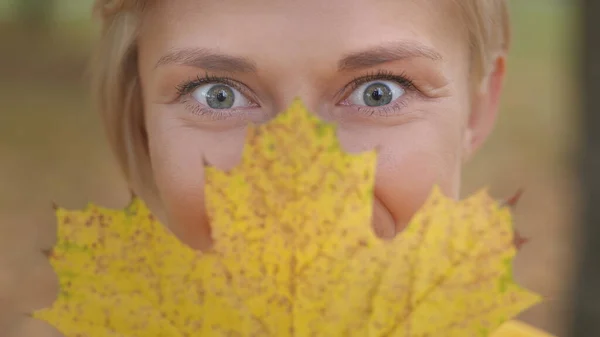 Portraitaufnahme einer jungen kaukasischen blonden Frau mit blauen Augen, die ihr Gesicht mit gelbem Herbstblatt verdeckt — Stockfoto