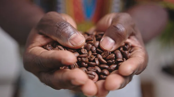 Blisko, czarny człowiek ręce trzymając ziarna kawy — Zdjęcie stockowe