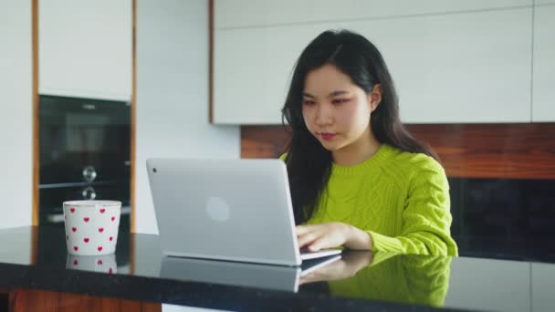 Asiática freelance negocios mujeres utilizando portátil para la videoconferencia con el cliente en su apartamento — Vídeos de Stock