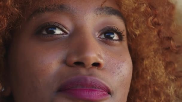 Portræt af ung afrikansk amerikansk sort kvinde med krøllet afro frisure – Stock-video