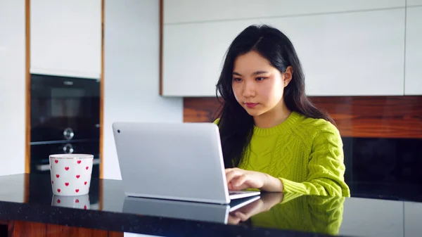Asiática freelance negocios mujeres utilizando portátil para la videoconferencia con el cliente en su apartamento — Foto de Stock