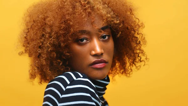 Beautiful young african american black woman showing her new curly hairstyle