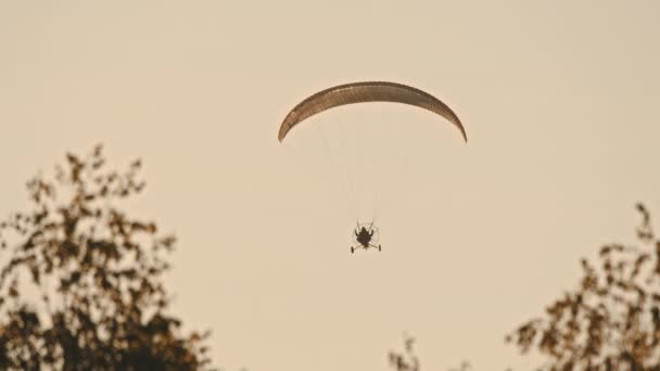 Paramotor Tandem planeando y volando en el aire. Copiar espacio — Vídeos de Stock