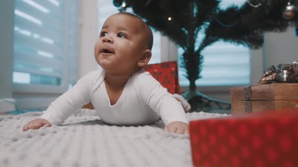 Prachtige mulatto baby met een buikje onder de kerstboom omringd door cadeautjes. Eerste baby kerstmis — Stockvideo