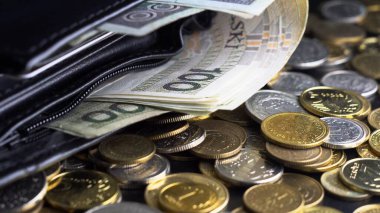 Varşova, Polonya 01.01.2021 - Polonya Zloti paraları üzerinde cüzdan banknotları