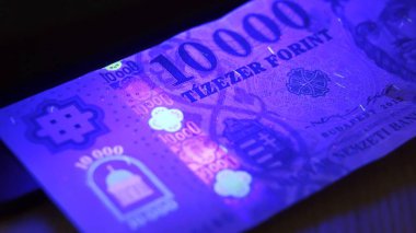 Varşova, Polonya 01.01.2021 Macar forint UV lambası kalpazanlık karşıtı test. Işık saçan mürekkep desenleri ultraviyole ışığın altında görünür hale geldi. Kapat. 