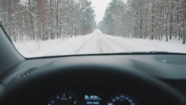 Вождение автомобиля зимой по заснеженной дороге, окруженной высокими листовыми деревьями. Снимок точки зрения — стоковое видео