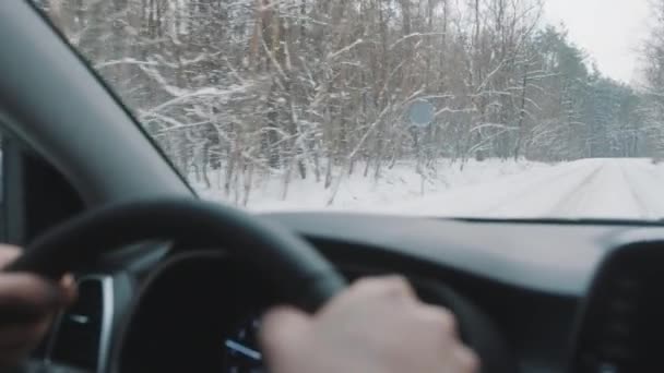 雪の上で車を運転背の高いチラシの木に囲まれた道路覆われた。撮影地 — ストック動画