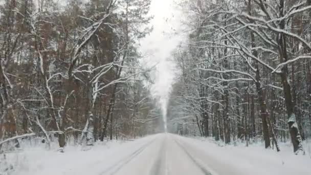 Driving through the forest on the small road covered with snow. Point of view — Stock videók