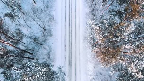 Winter ochtend over de weg tussen hoge bladloze bomen. Luchtfoto — Stockvideo