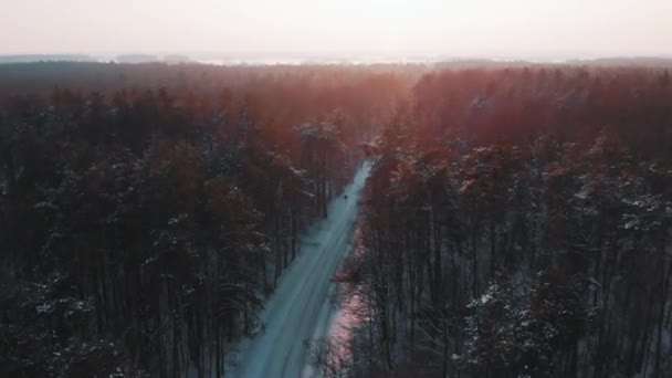 Tramonto sulla foresta e strada vuota coperta di neve. Aerea — Video Stock